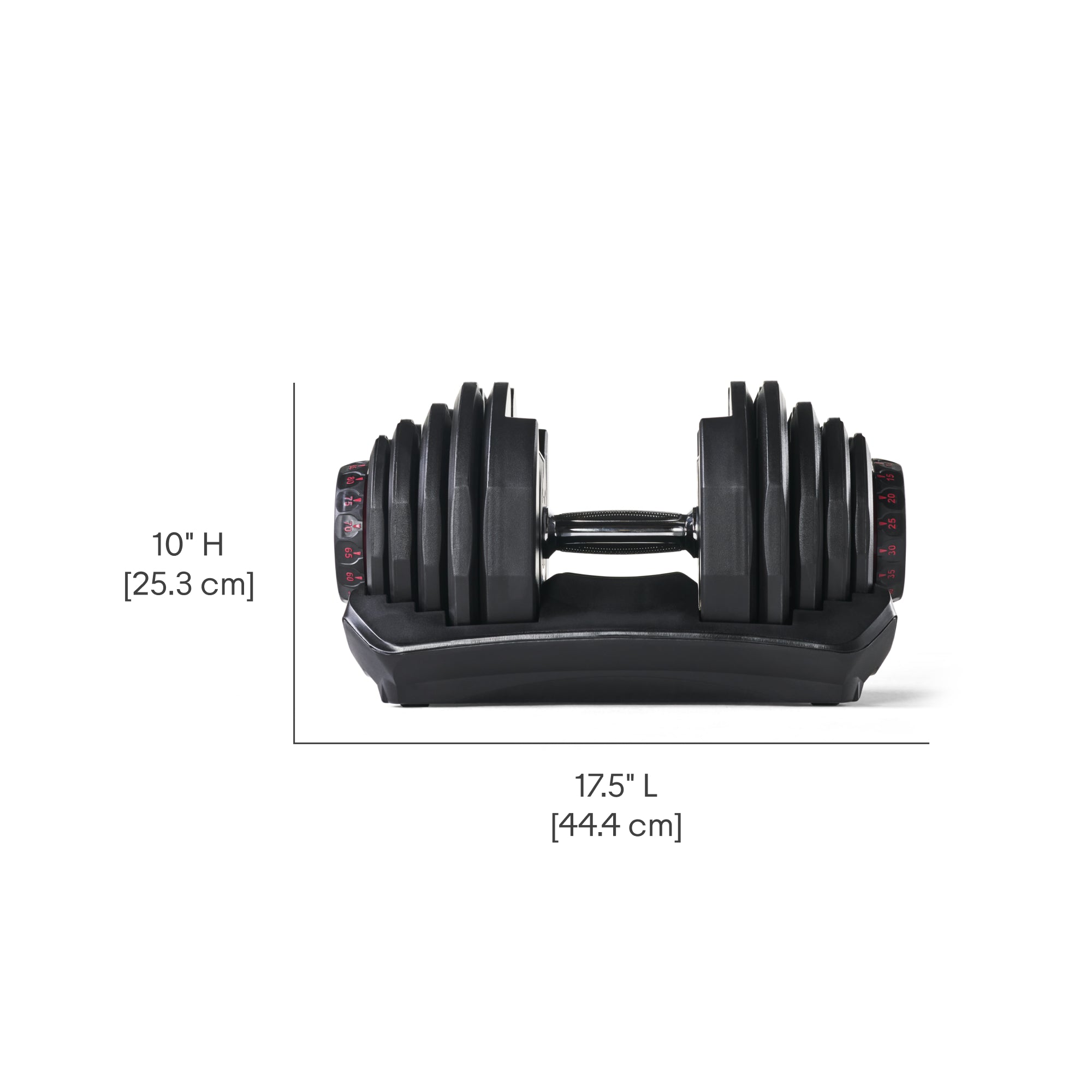 BowFlex 1090i Dumbbell Pair with BowFlex Stand