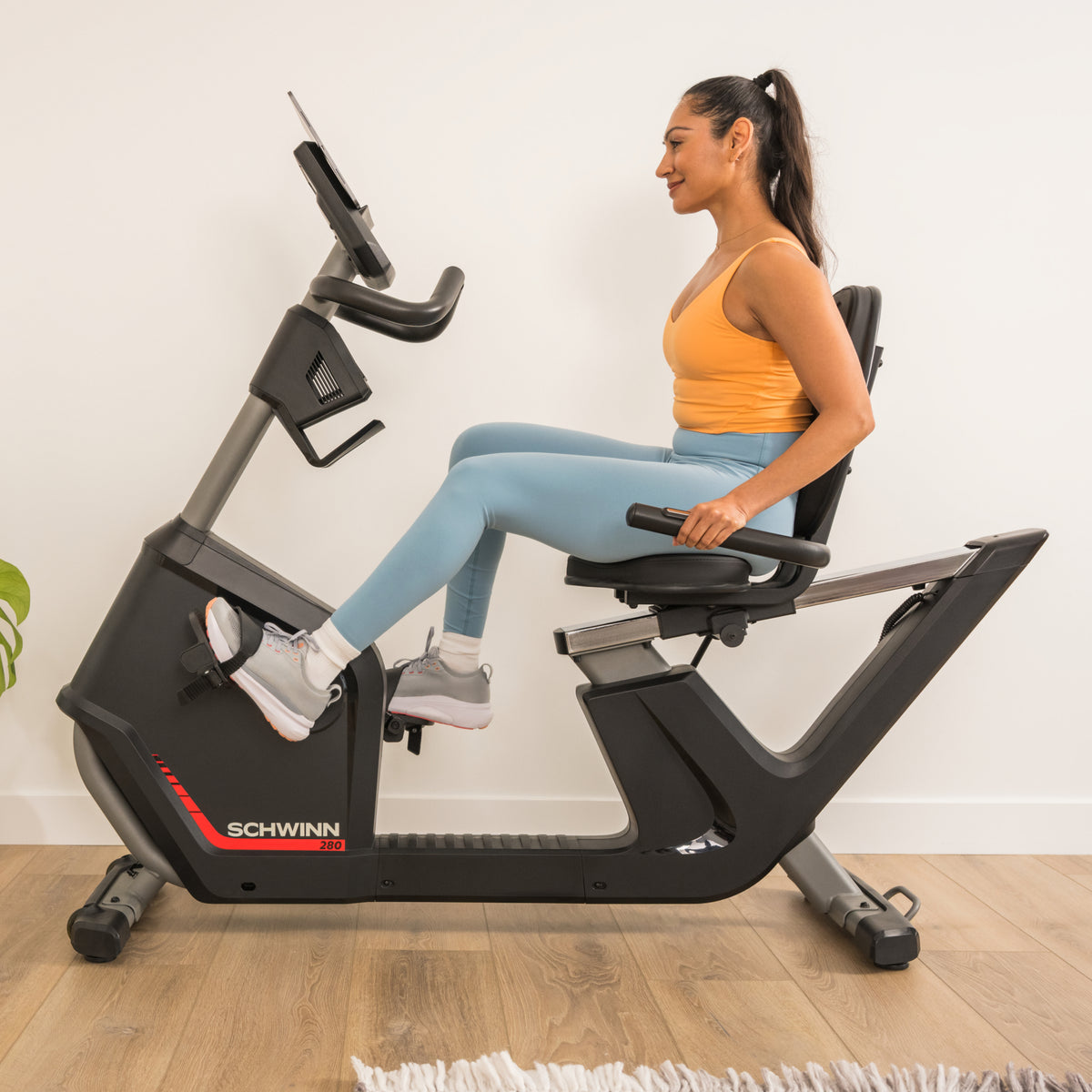 Schwinn 280R Recumbent Exercise Bike 5