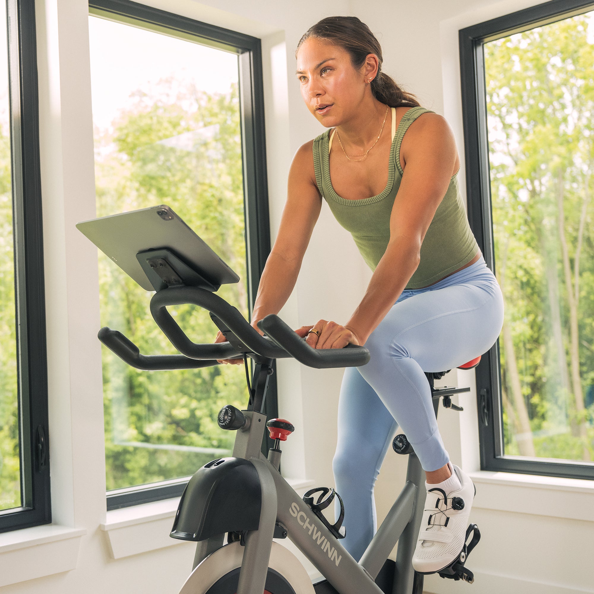 Schwinn Fitness IC3.5 Indoor Cycle 11